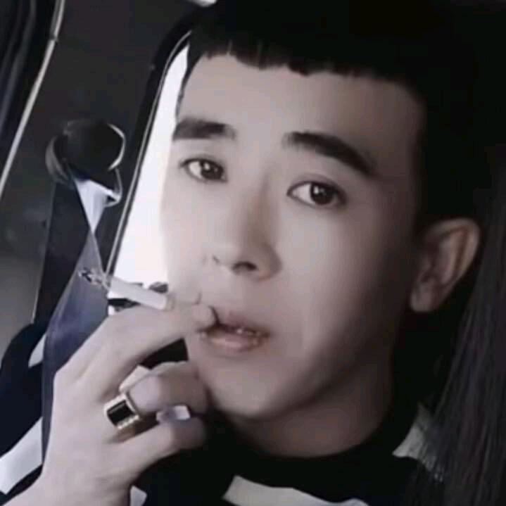 惠进进