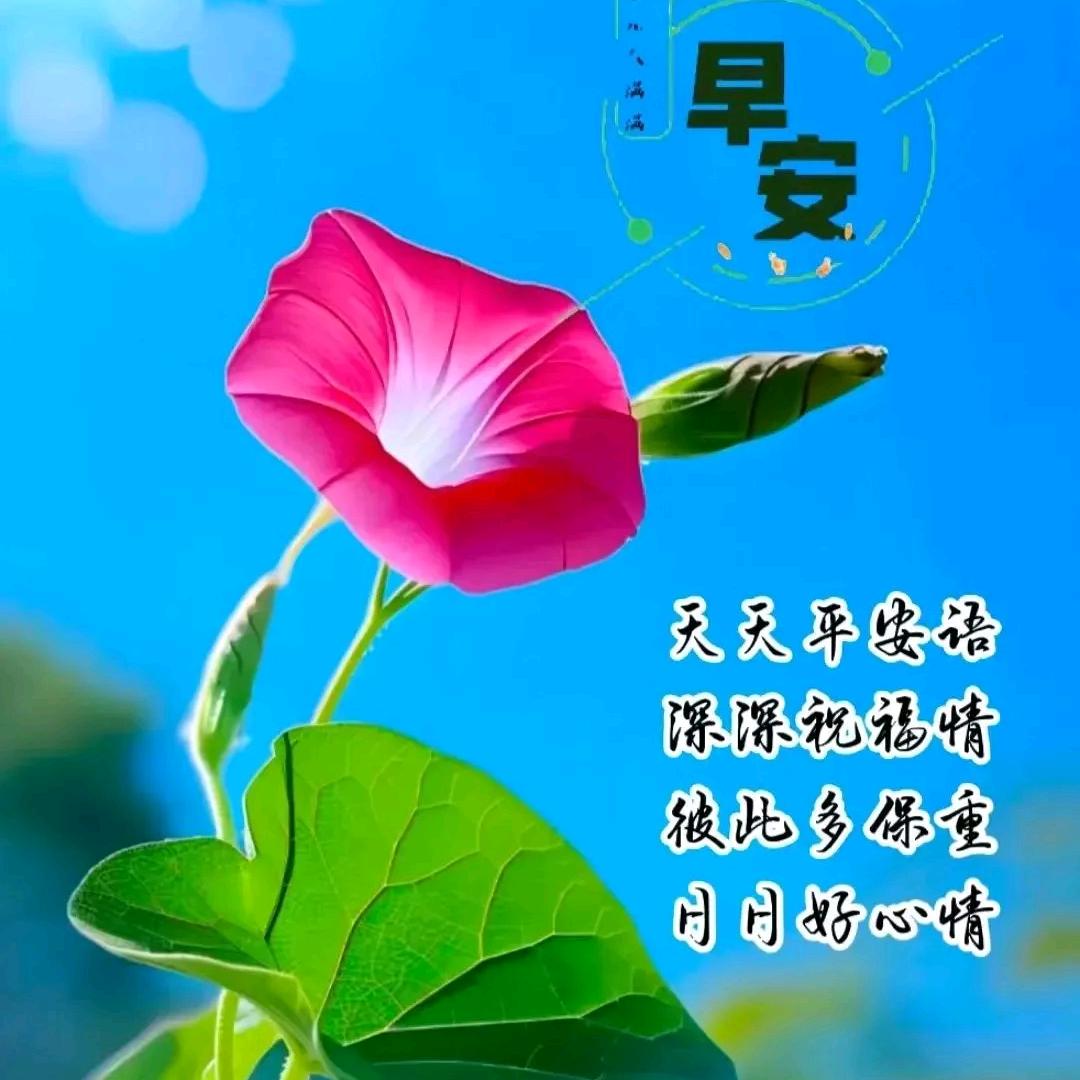 热心人