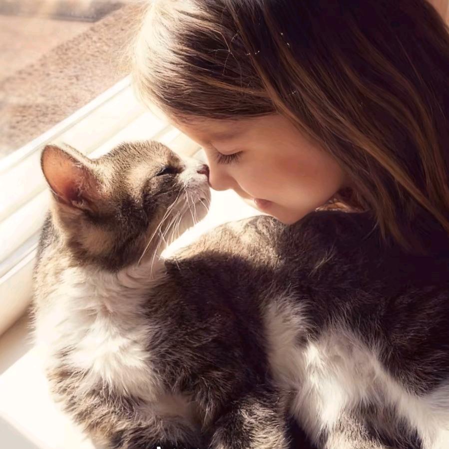 西伯利亚烤泠面_.