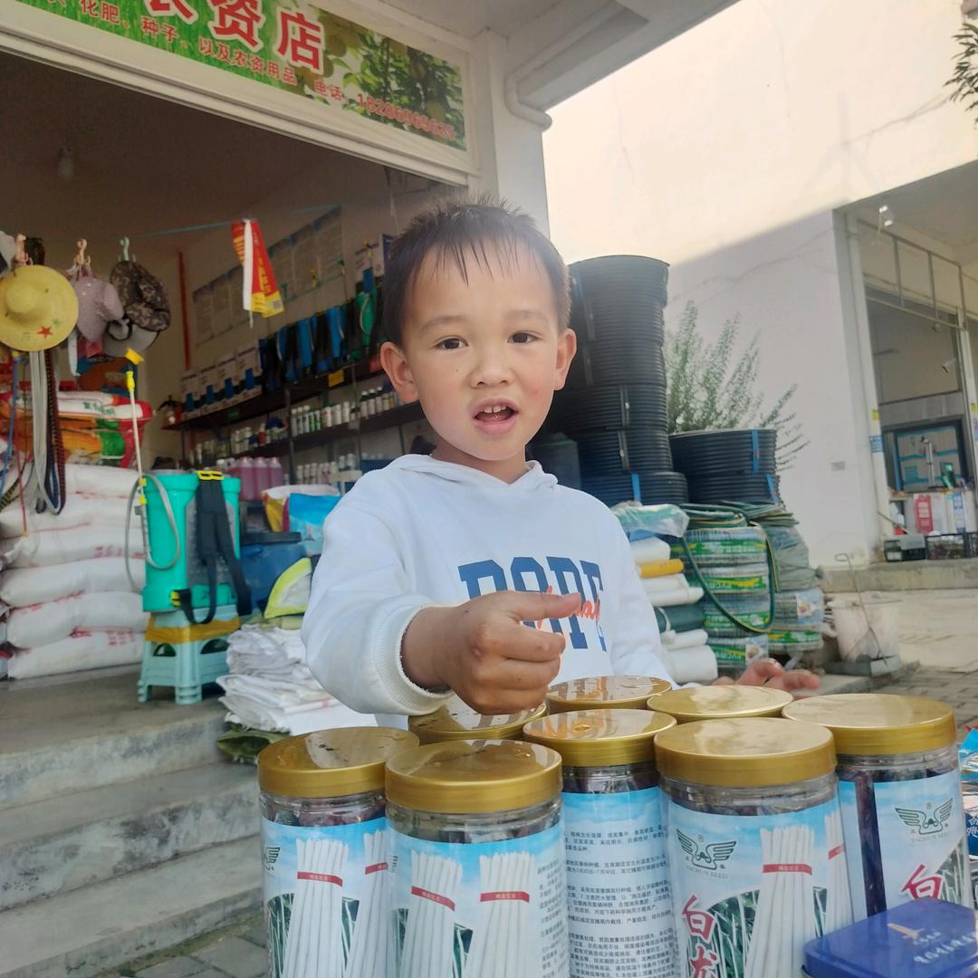 潘氏农业