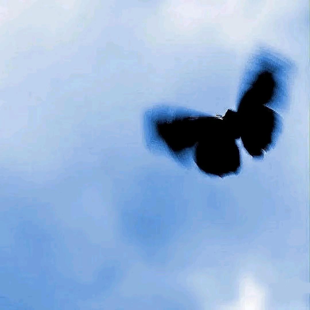粒可悠