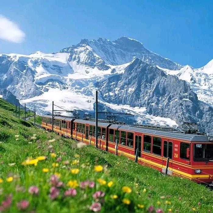 世界这么大，我想去看看