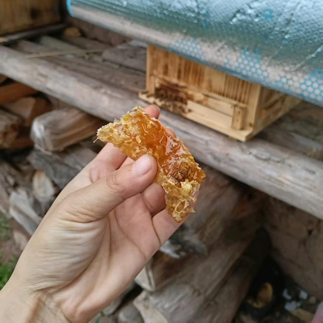人生不过三万天！该玩得玩