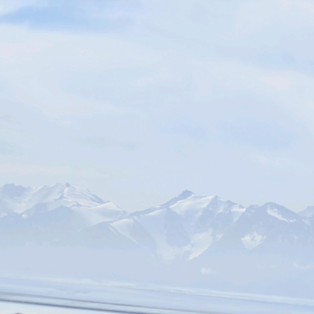 爱吃三丝焖面的奶黄包