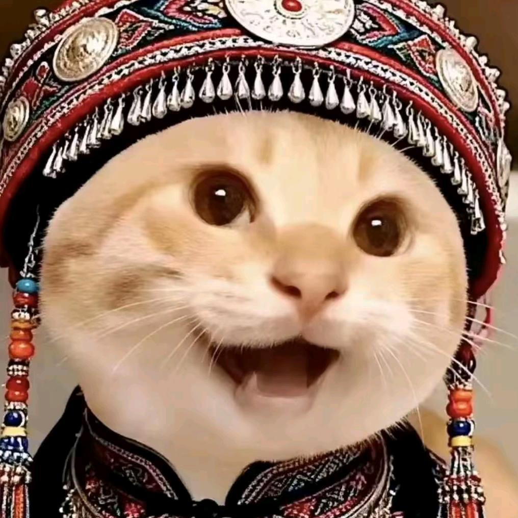 飞天大懒觉
