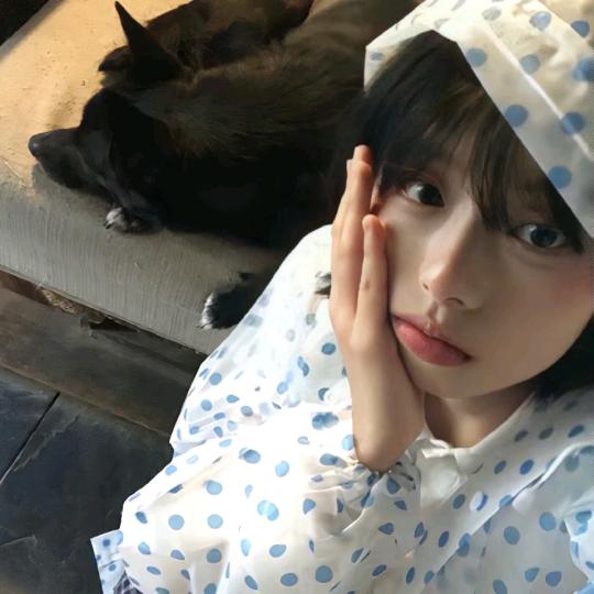 巷尾梧桐