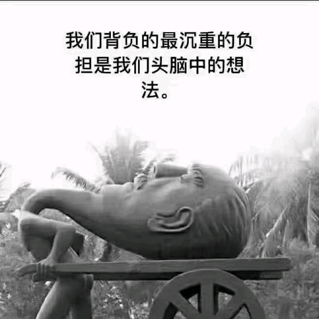 胡萝卜🥕
