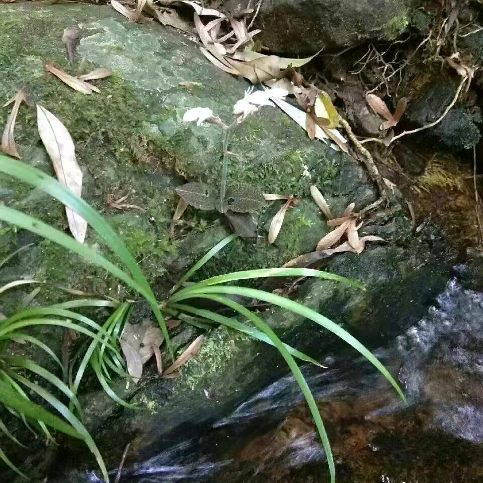 世您