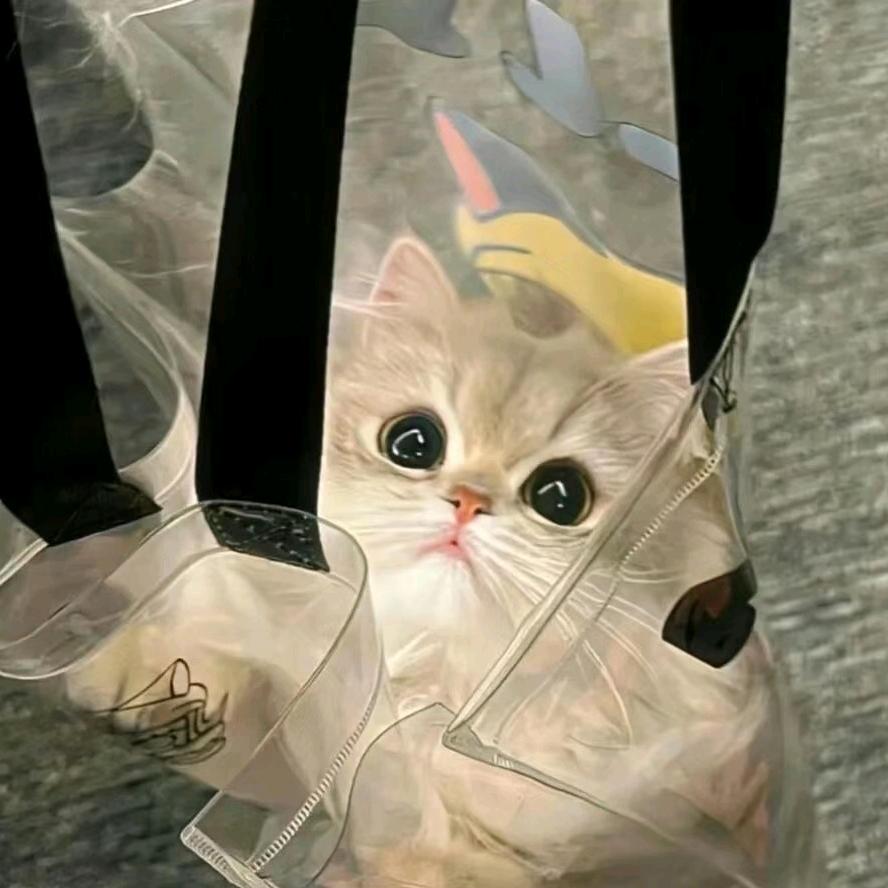 小耶