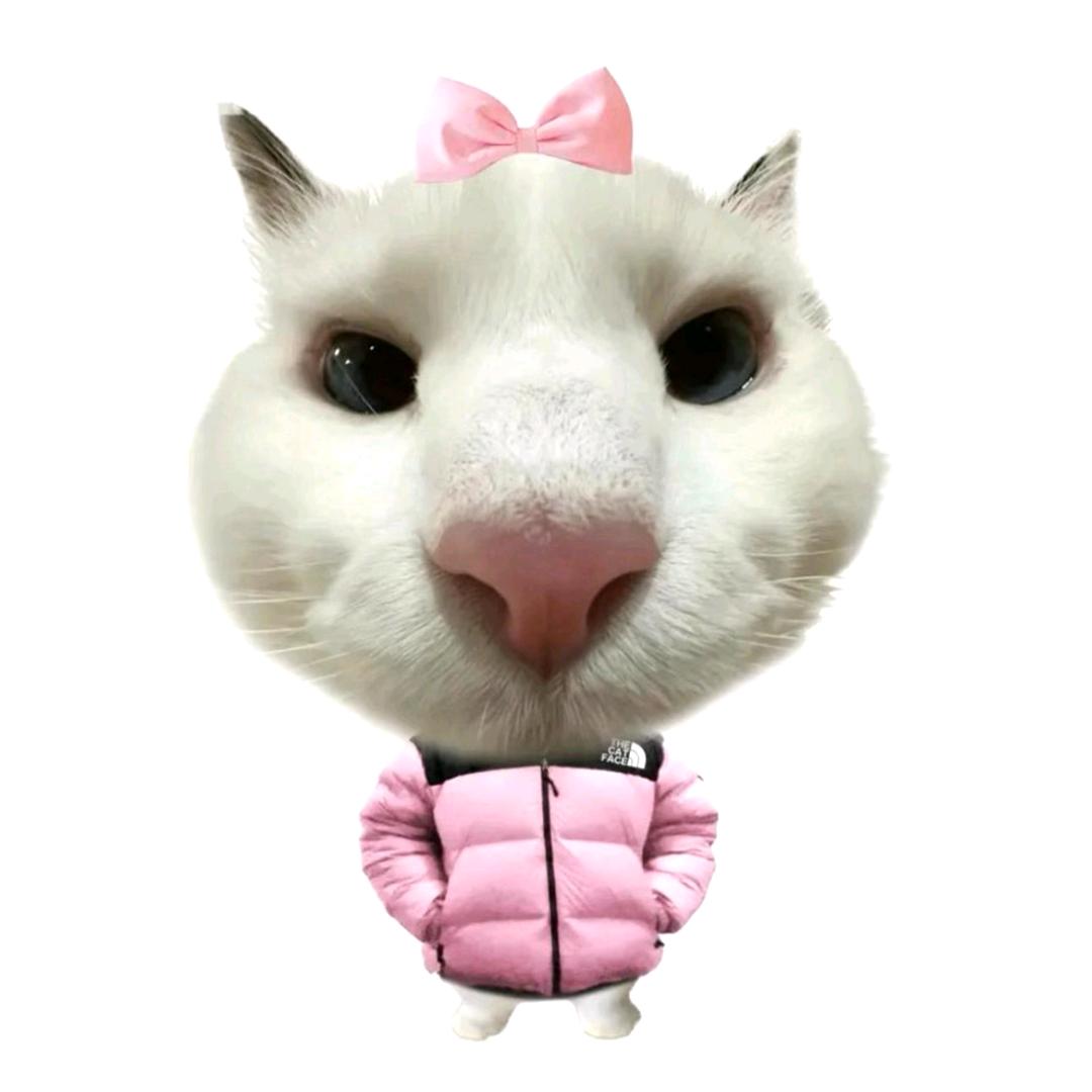 张。