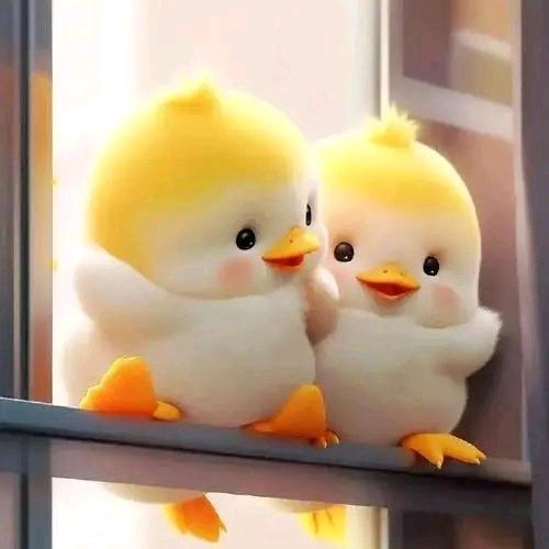 做个坚强的女汉子🌹🌹🌹