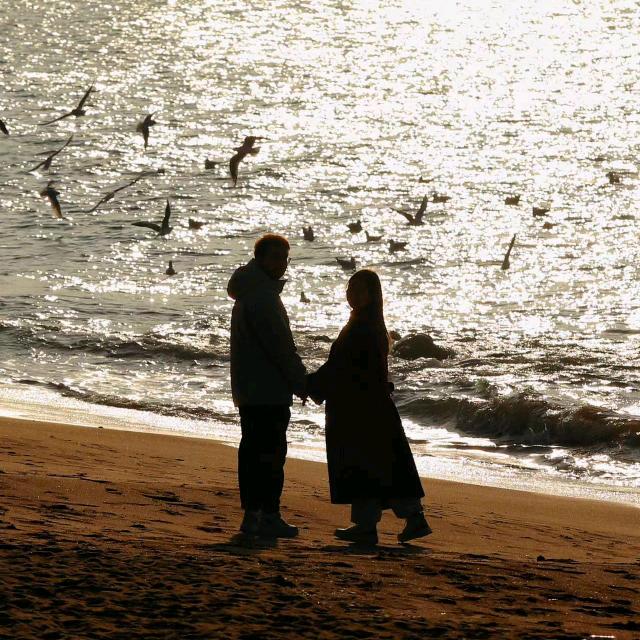 🌈🌈归来仍是少年🌈🌈