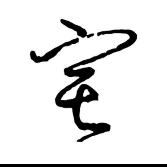 宝哥✨