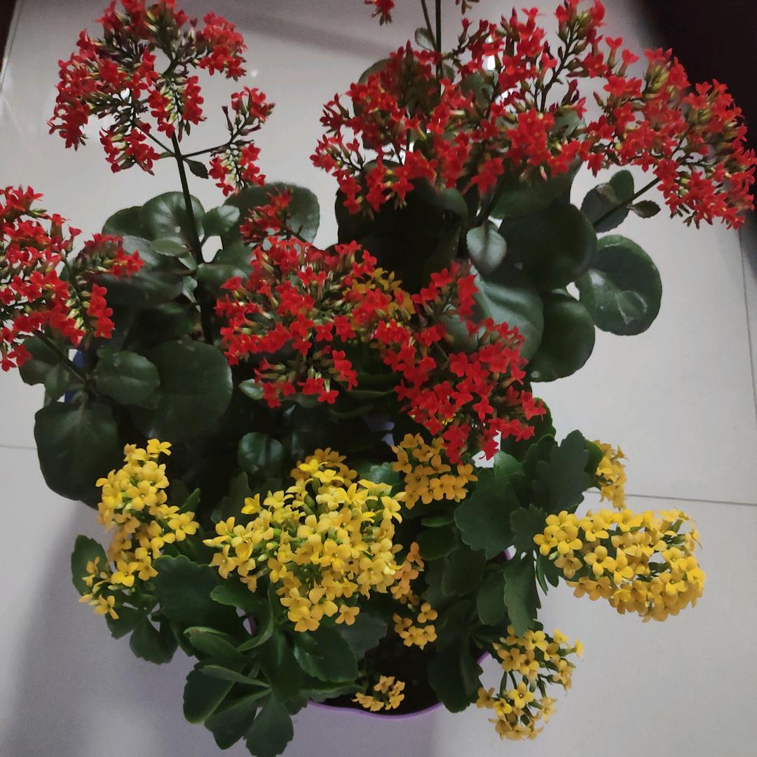 清晨一缕阳光1