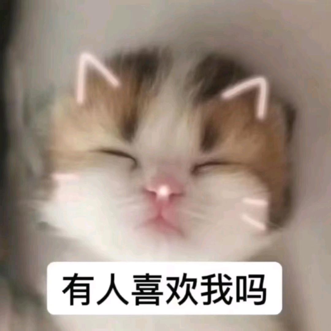 今天巴黎没下雨