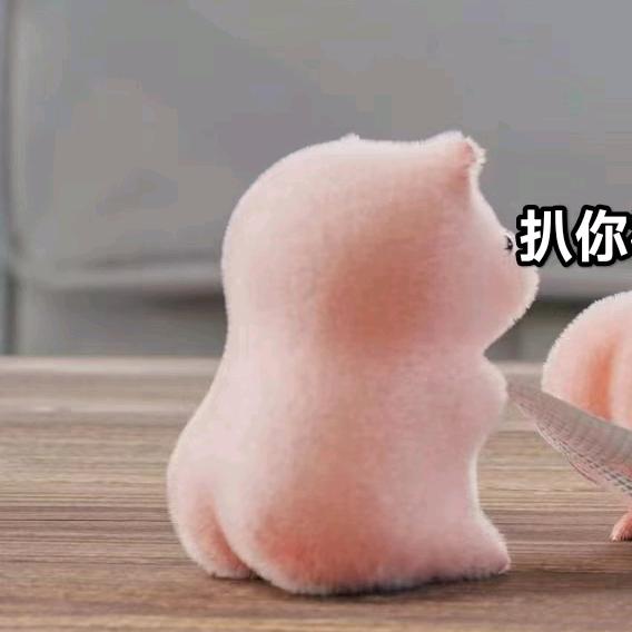 虾怪