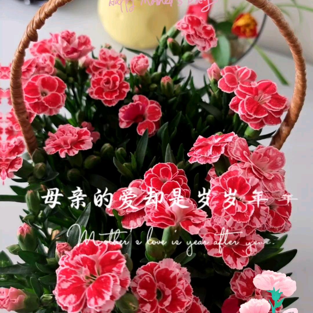 🐲平安就是福