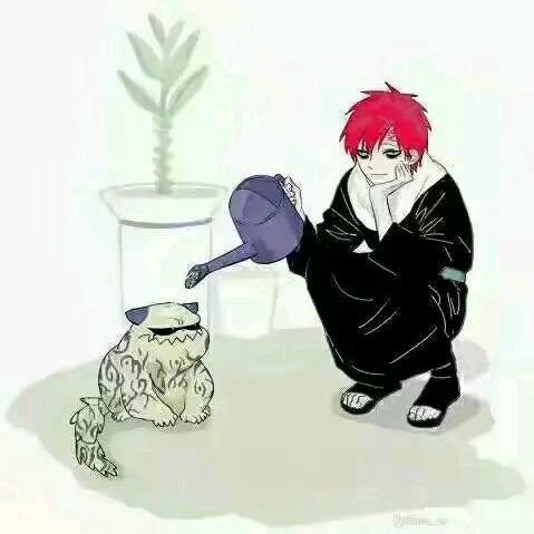 王总好