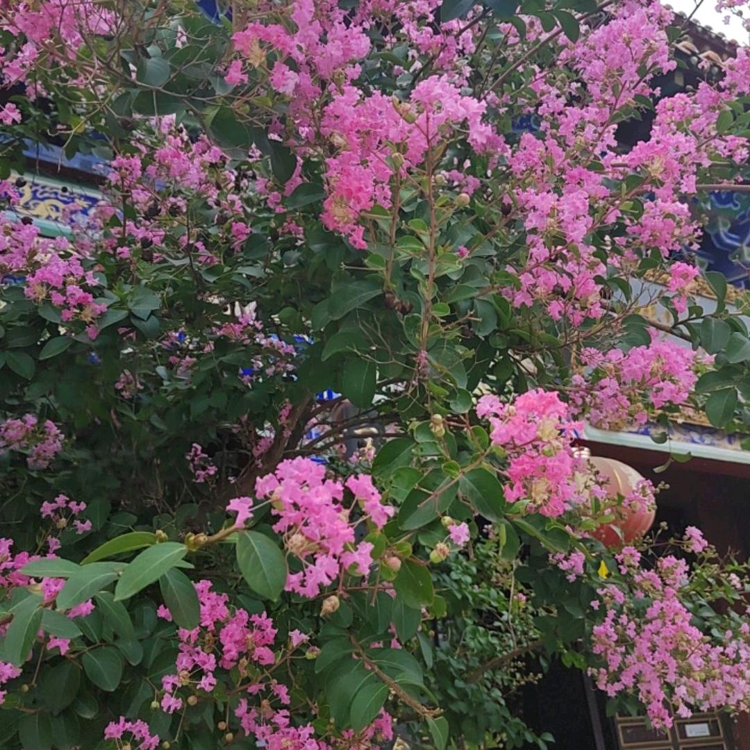 💖ღ余生᭄爱ღ自己᭄💖
