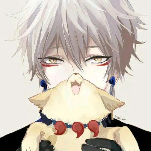 魔法猫