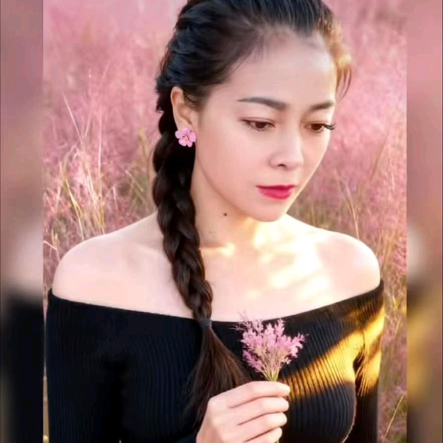 《杨七妹》💖你