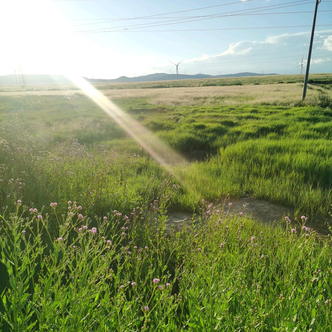无问西东（阿龙哥）