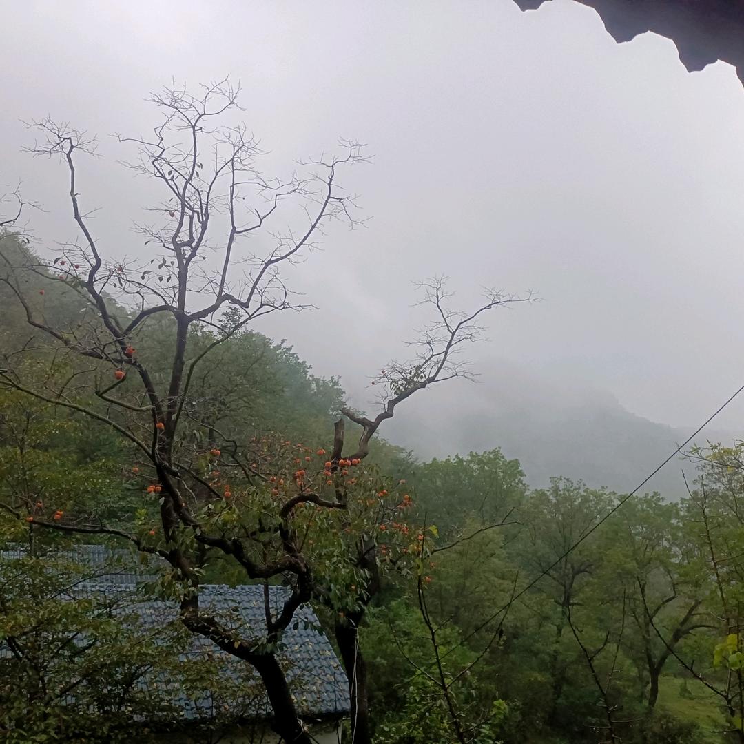 80后宝妈下岗创业