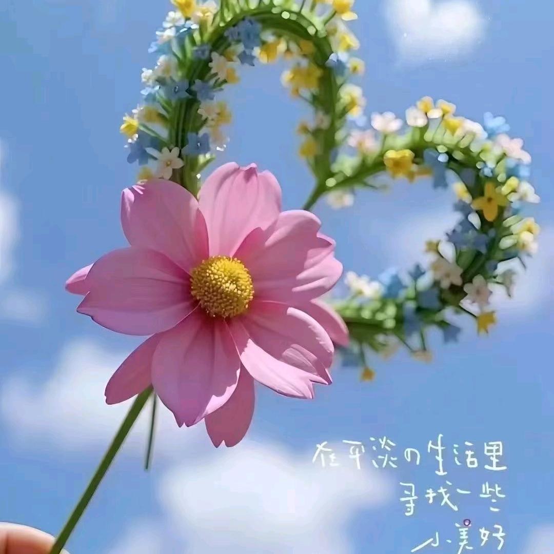 @破茧成蝶🦋