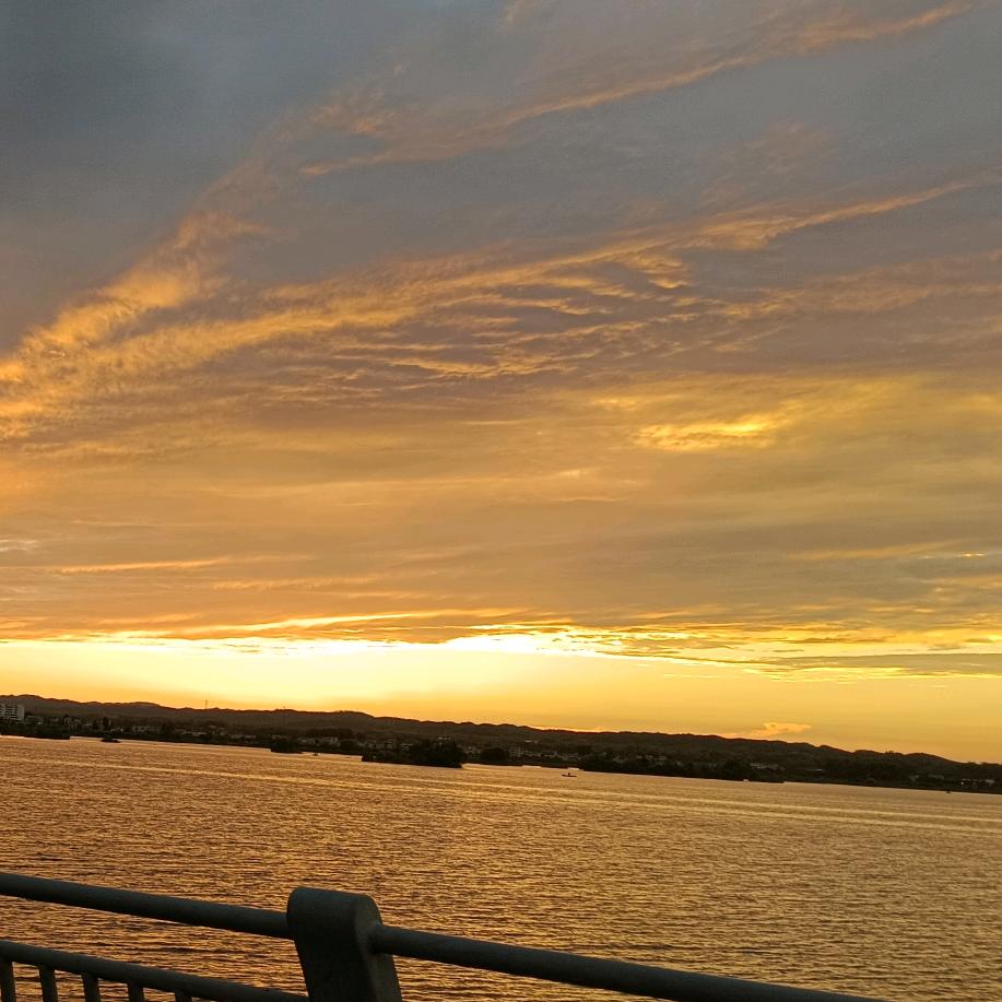 老河口姐妹服装城婷婷