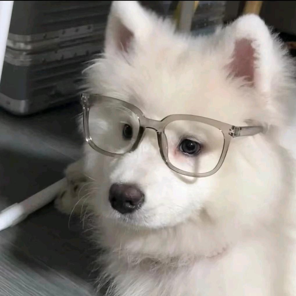 小阳学长