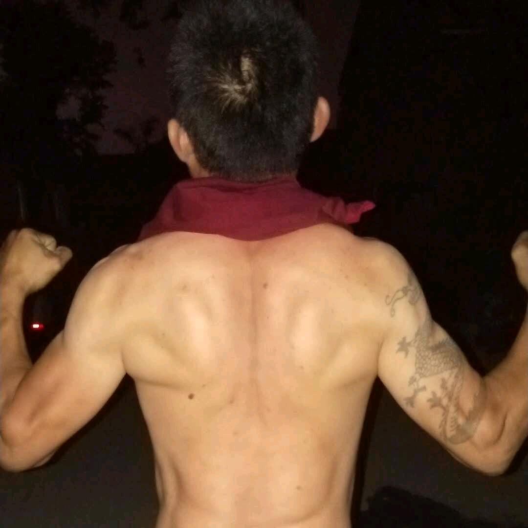相看两不厌