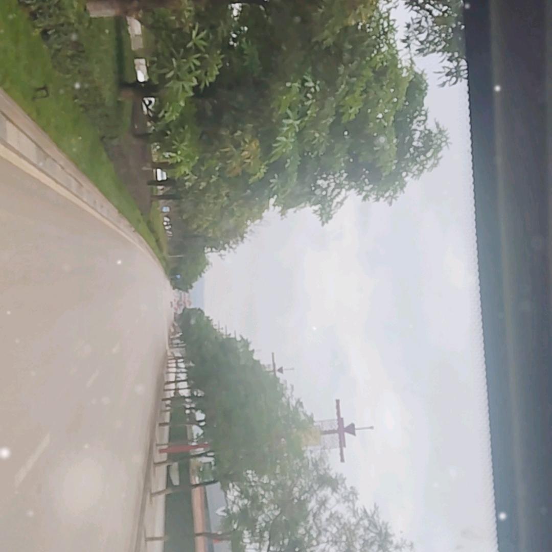 sjf