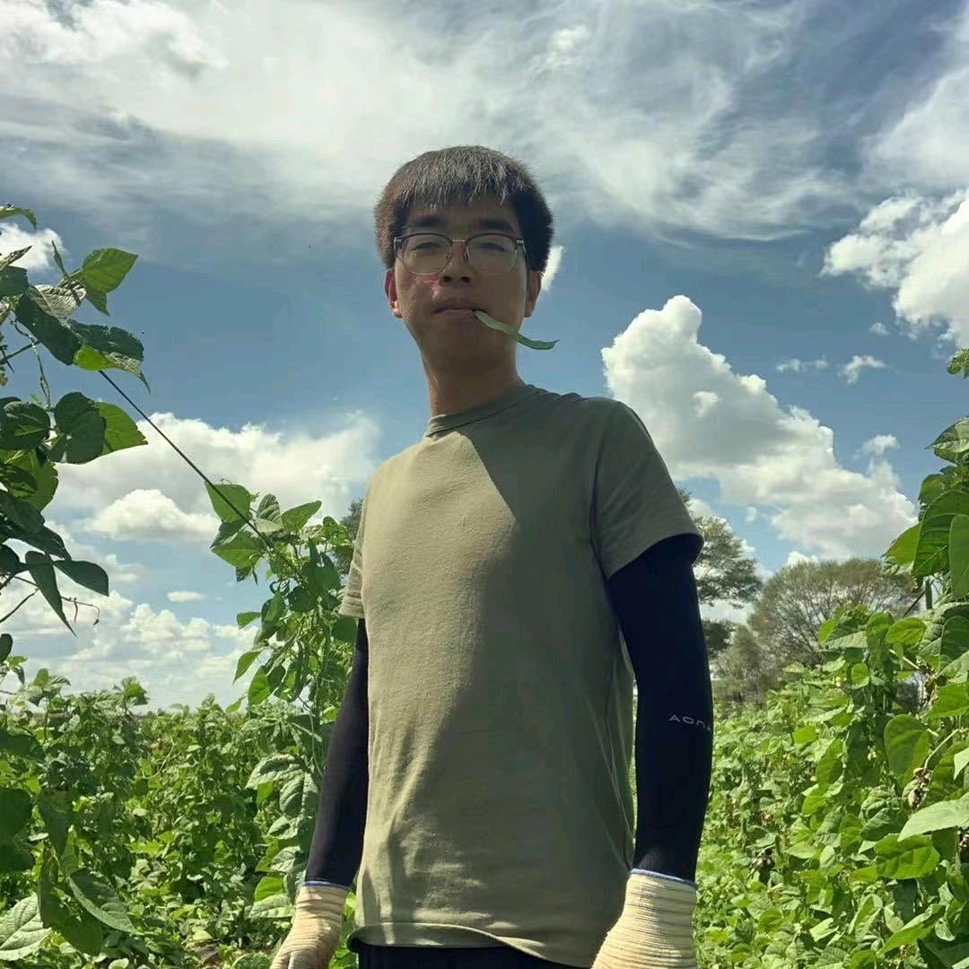 古六旗大牛
