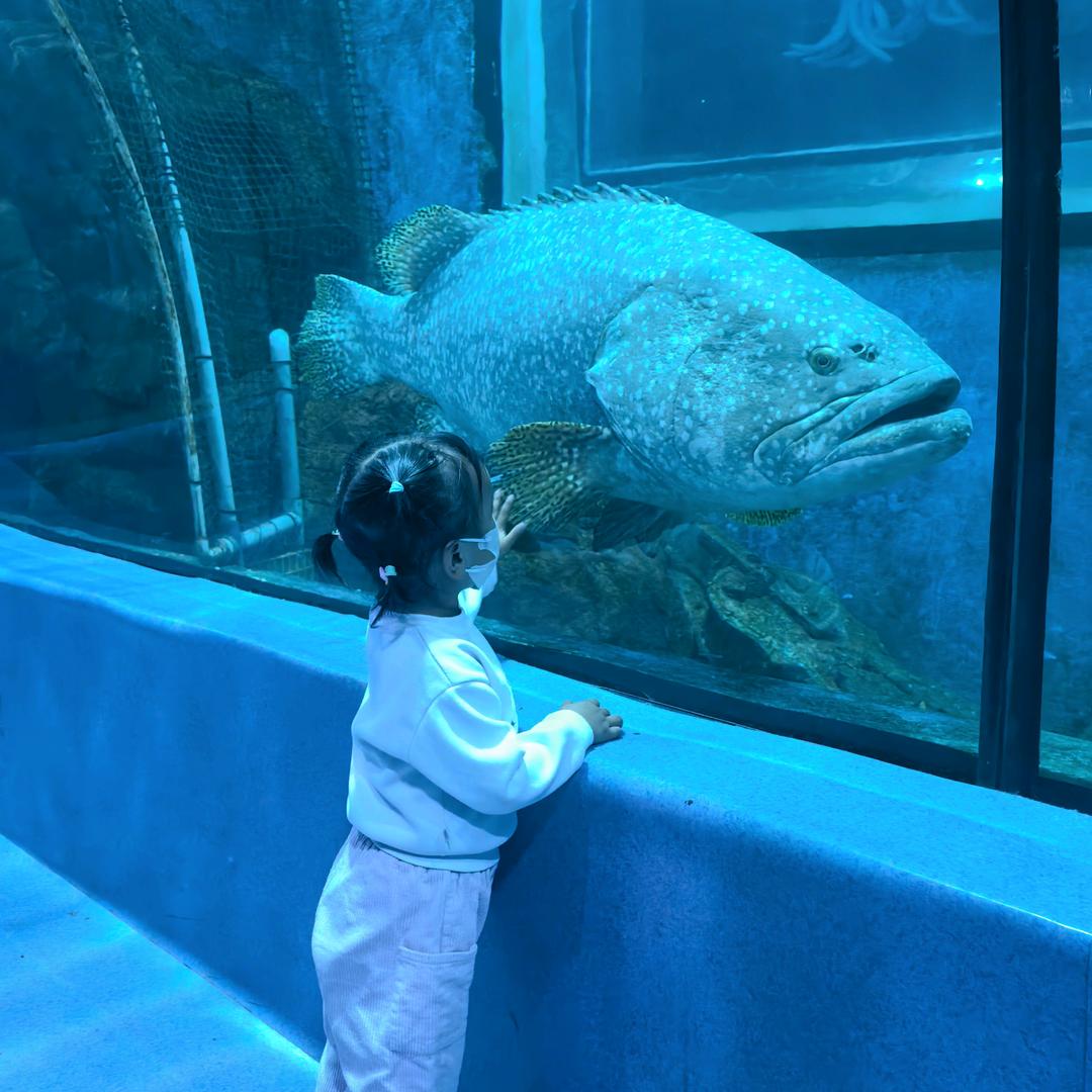 〤∪ê: 🍀ꦿ薛໊ꦿ᭄💕