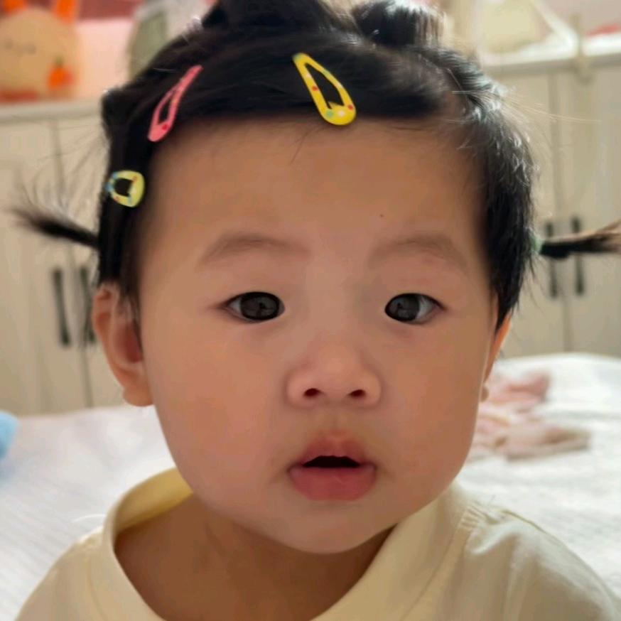 叶子  吖
