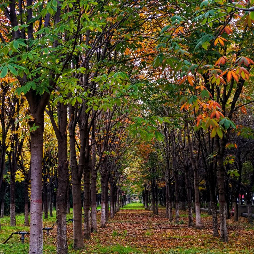 众益总校-李主管