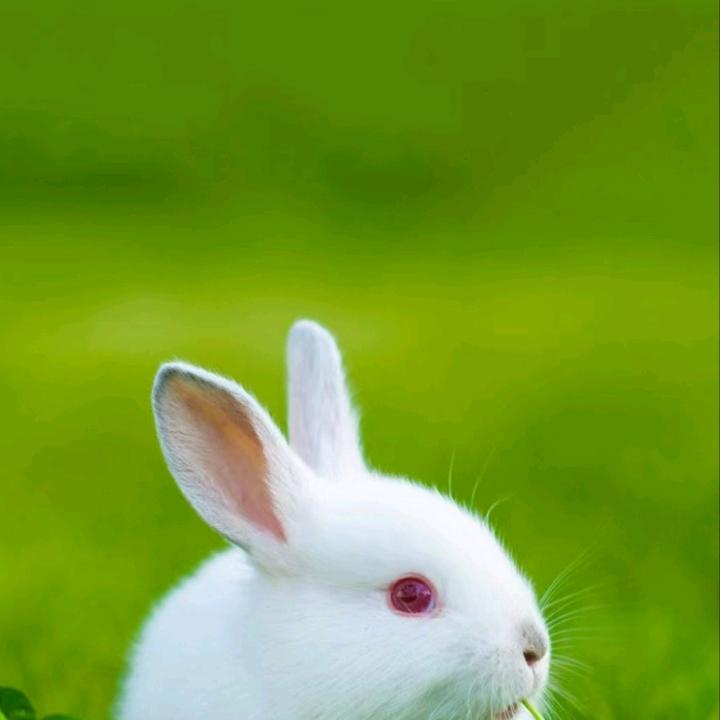 🌹w🌹A🌹N🌹D🌹M🐇索爱