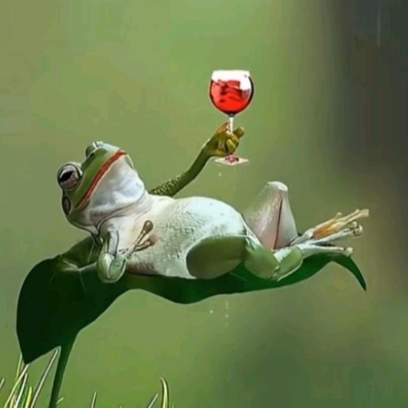 我凉拌木瓜给你吃