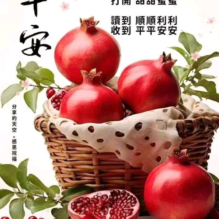 看看就好，别太当真