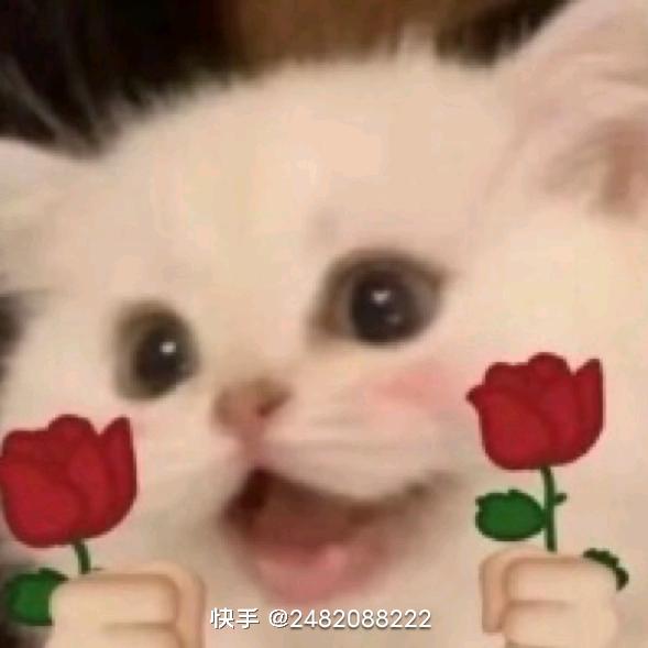 二姐