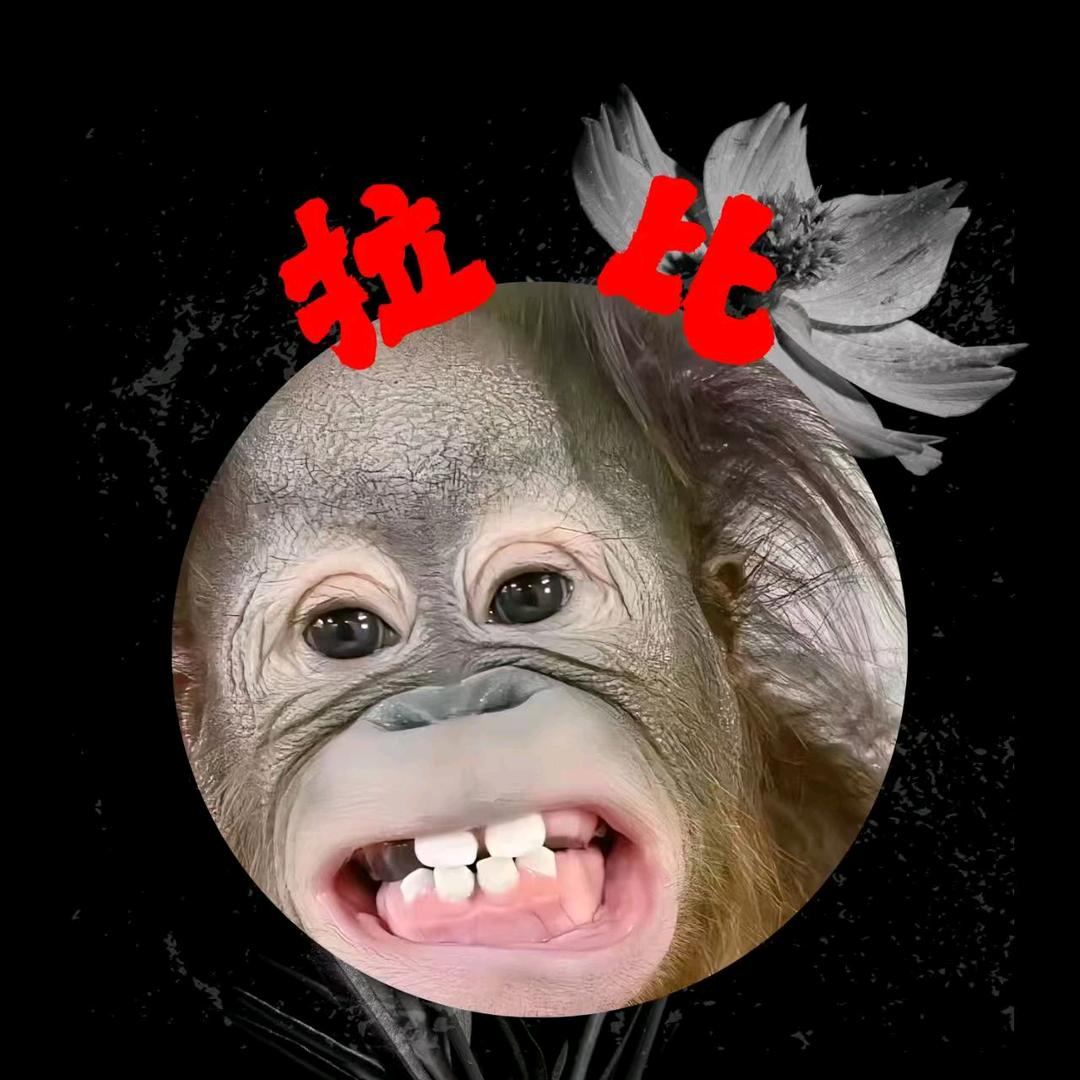 𝔔.小白