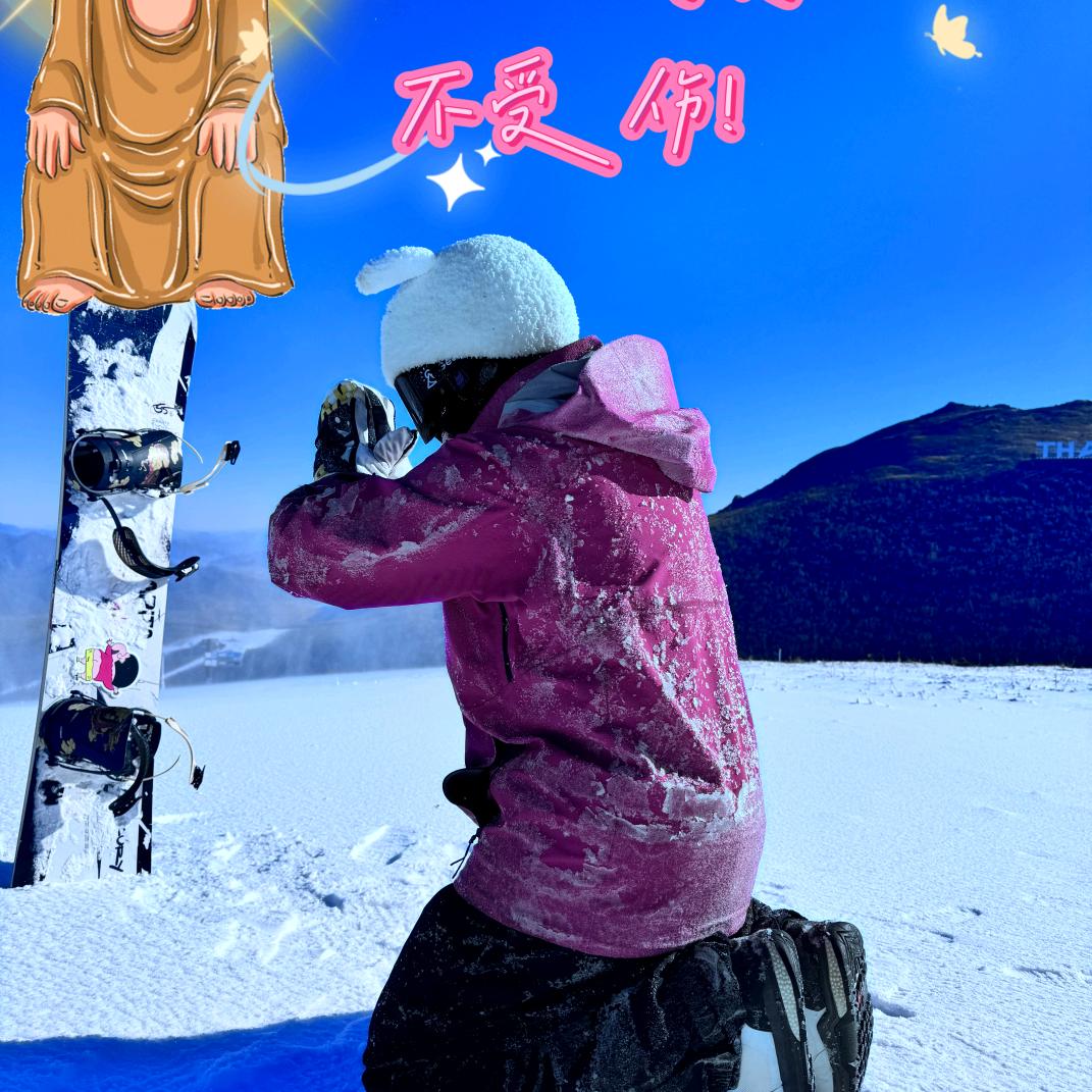 呆毛王仗剑走天涯