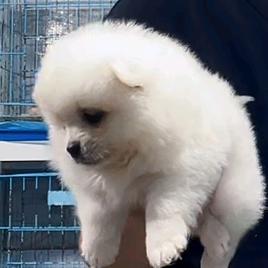 欣宝儿