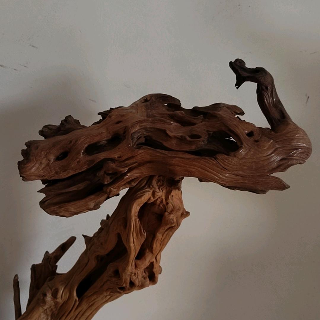 赏心悦木