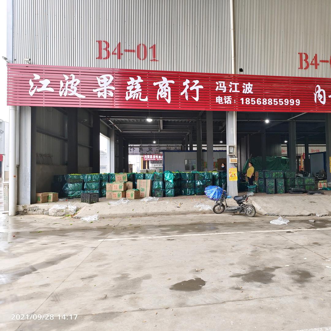 内黄县江波果蔬产地实力代办