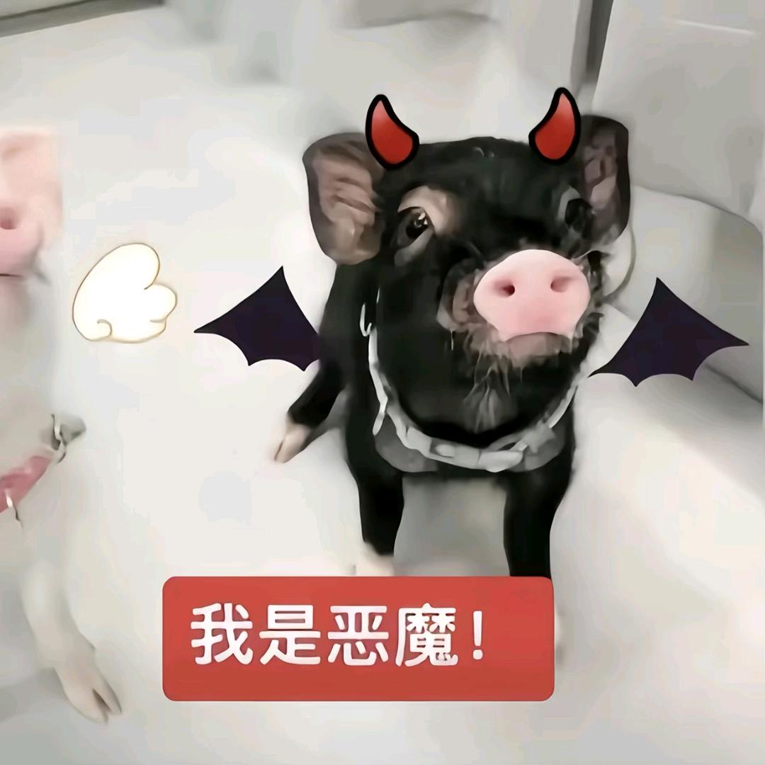 芒果脸大王