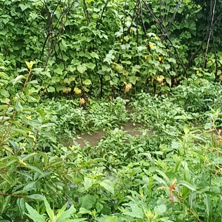 用户985132257