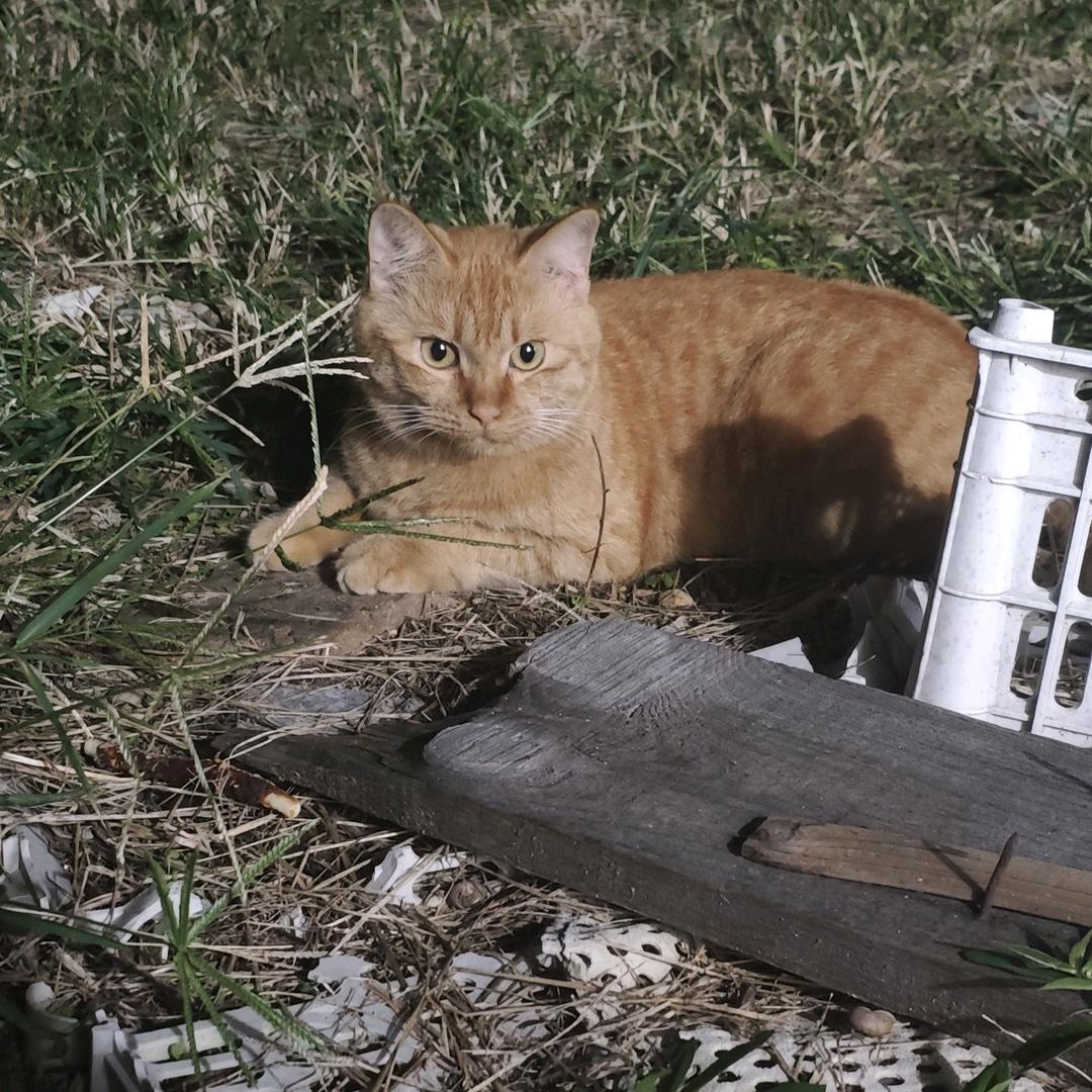 秋福与秋阳的日子