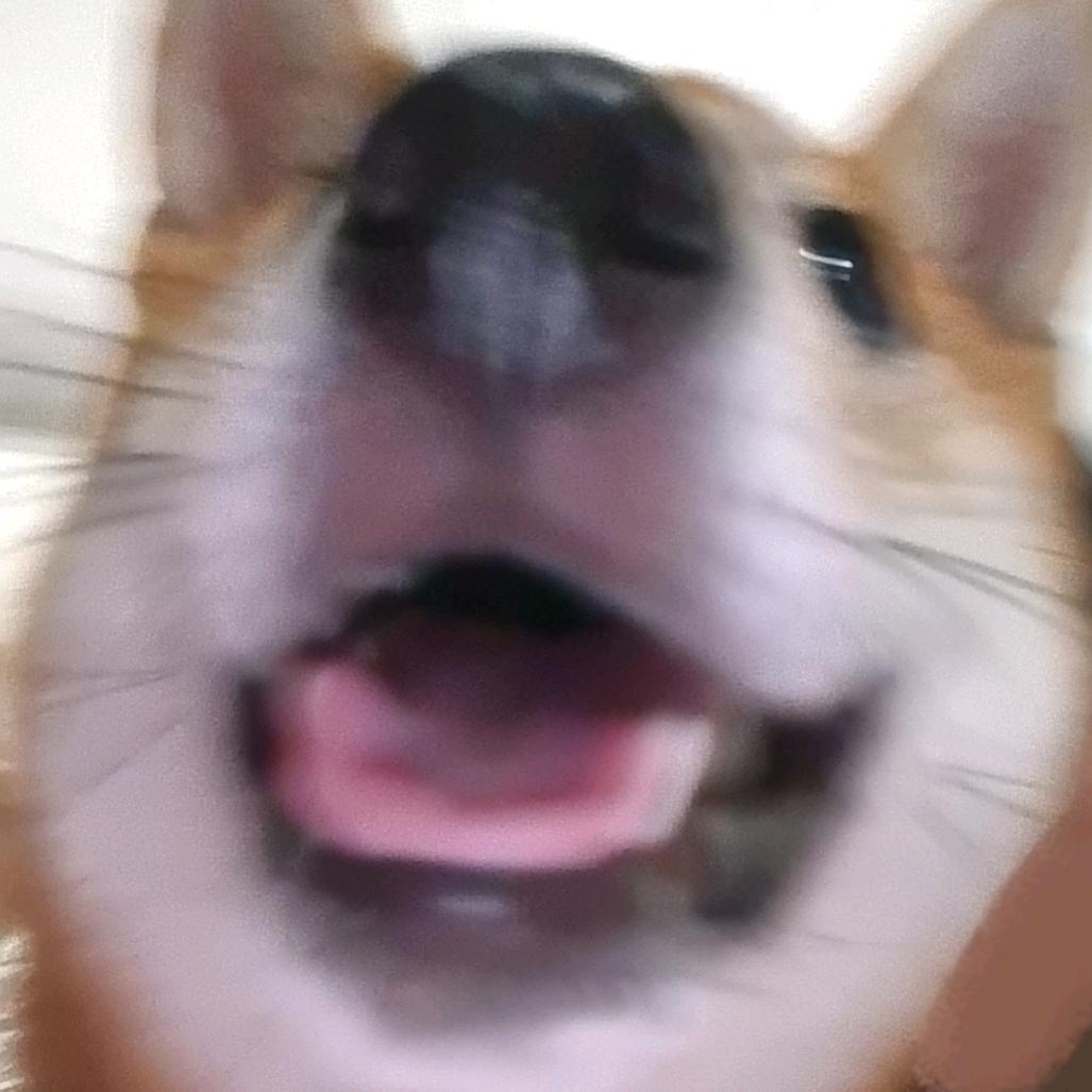 搞搞你的小九九