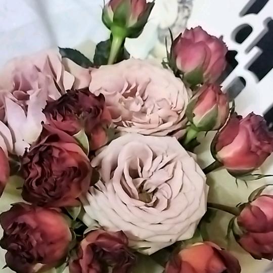 ᰔᩚ庸人ൄ自扰ᭁꦿ᭄